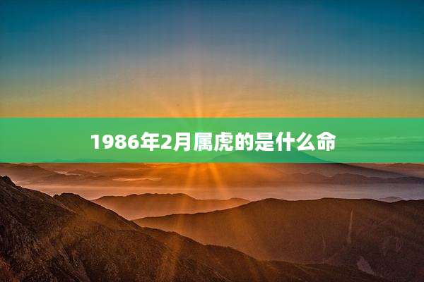 1986年2月属虎的是什么命
