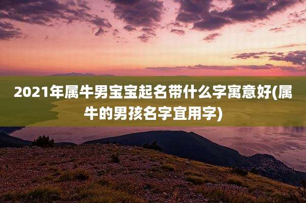 2021年属牛男宝宝起名带什么字寓意好(属牛的男孩名字宜用字)