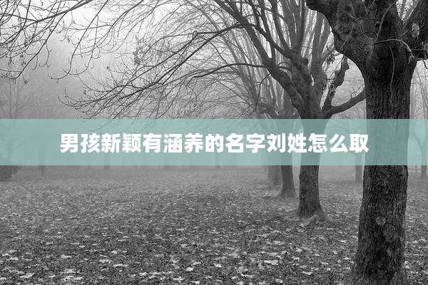 男孩新颖有涵养的名字刘姓怎么取