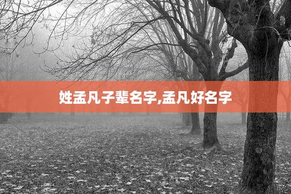 姓孟凡子辈名字,孟凡好名字