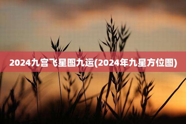2024九宫飞星图九运(2024年九星方位图)