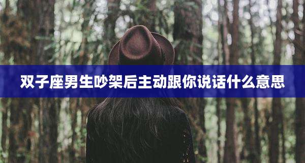 双子座男生吵架后主动跟你说话什么意思
