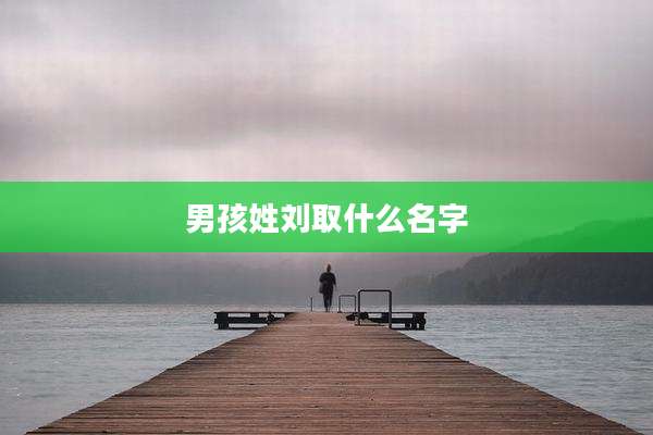 男孩姓刘取什么名字