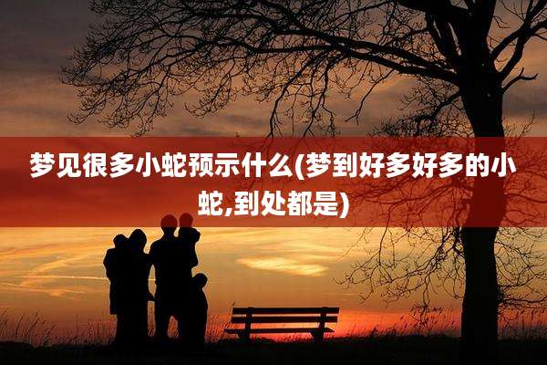 梦见很多小蛇预示什么(梦到好多好多的小蛇,到处都是)