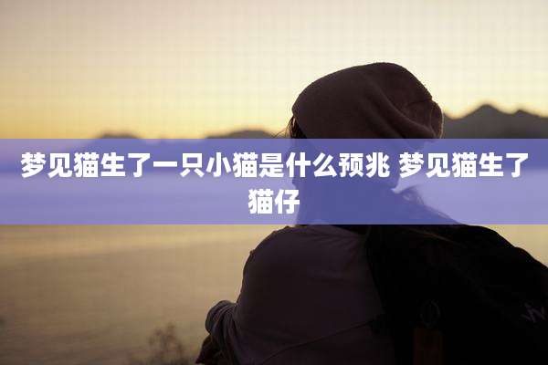 梦见猫生了一只小猫是什么预兆 梦见猫生了猫仔