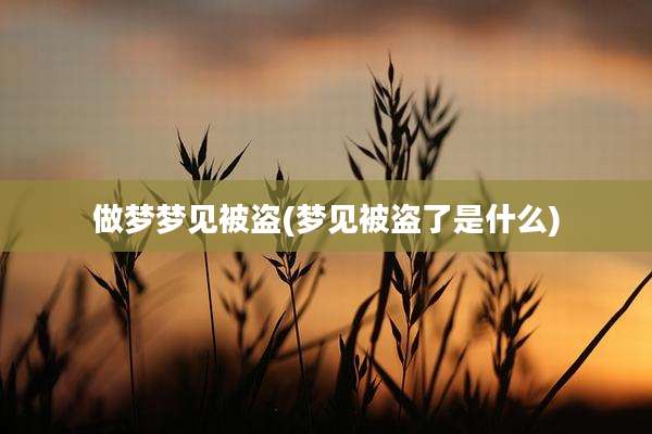 做梦梦见被盗(梦见被盗了是什么)