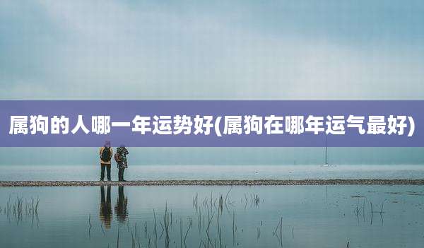 属狗的人哪一年运势好(属狗在哪年运气最好)