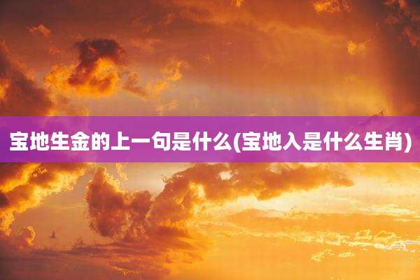 宝地生金的上一句是什么(宝地入是什么生肖)