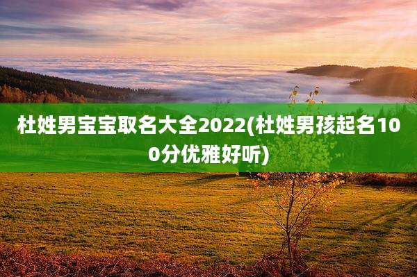 杜姓男宝宝取名大全2022(杜姓男孩起名100分优雅好听)