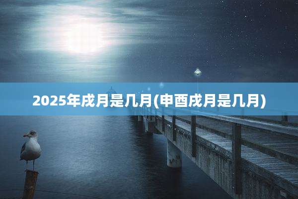 2025年戌月是几月(申酉戌月是几月)