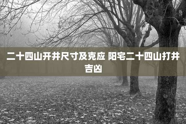 二十四山开井尺寸及克应 阳宅二十四山打井吉凶