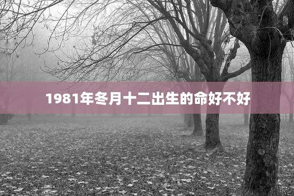 1981年冬月十二出生的命好不好