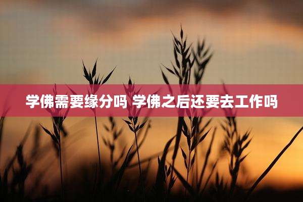 学佛需要缘分吗 学佛之后还要去工作吗