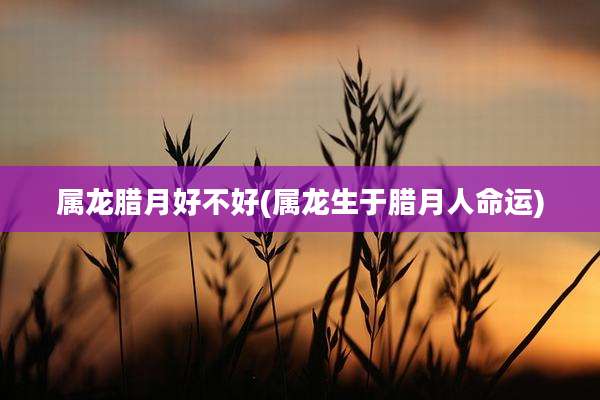 属龙腊月好不好(属龙生于腊月人命运)