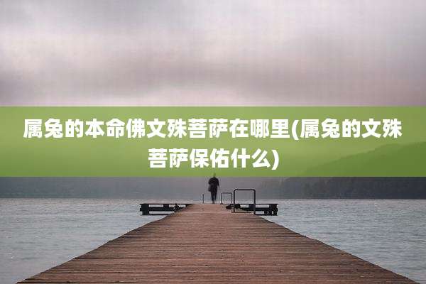 属兔的本命佛文殊菩萨在哪里(属兔的文殊菩萨保佑什么)