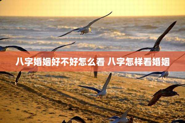 八字婚姻好不好怎么看 八字怎样看婚姻