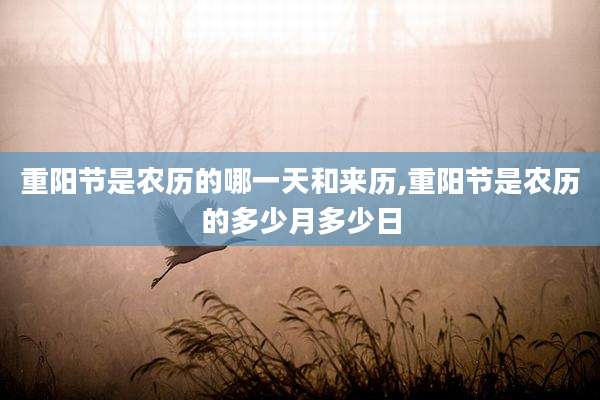 重阳节是农历的哪一天和来历,重阳节是农历的多少月多少日