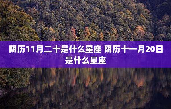 阴历11月二十是什么星座 阴历十一月20日是什么星座