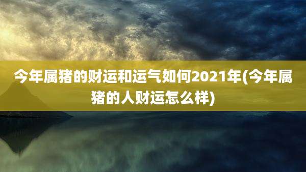 今年属猪的财运和运气如何2021年(今年属猪的人财运怎么样)