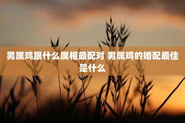 男属鸡跟什么属相最配对 男属鸡的婚配最佳是什么