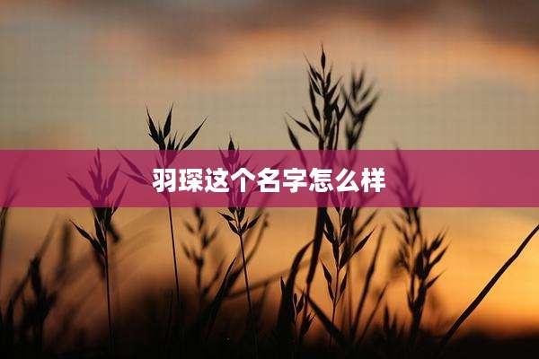 羽琛这个名字怎么样