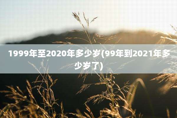 1999年至2020年多少岁(99年到2021年多少岁了)