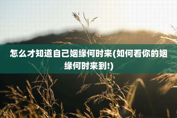 怎么才知道自己姻缘何时来(如何看你的姻缘何时来到!)