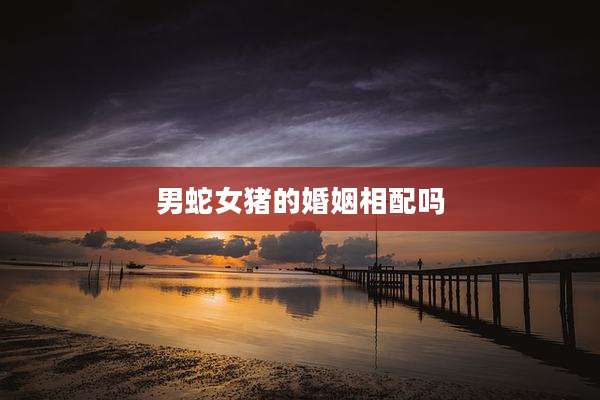男蛇女猪的婚姻相配吗