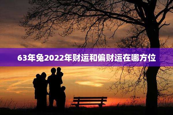 63年兔2022年财运和偏财运在哪方位