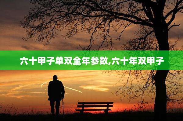 六十甲子单双全年参数,六十年双甲子
