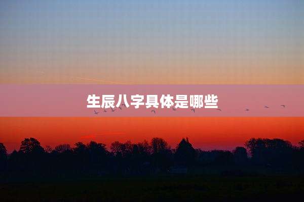 生辰八字具体是哪些