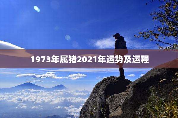 1973年属猪2021年运势及运程