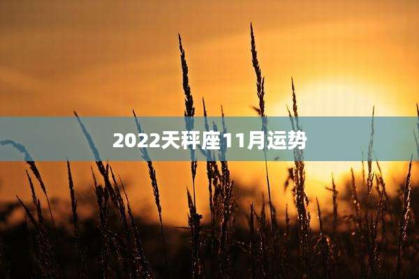 2022天秤座11月运势