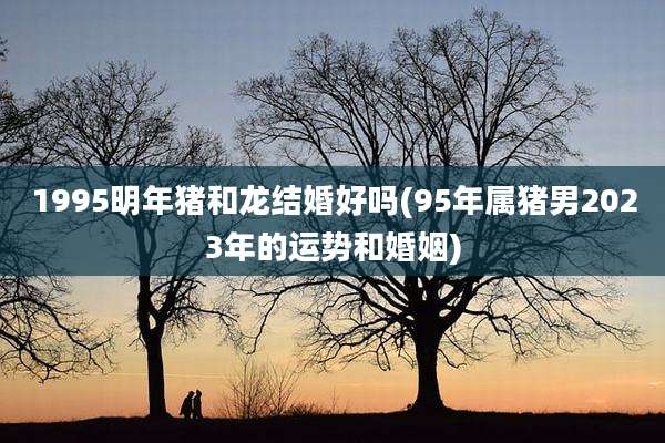 1995明年猪和龙结婚好吗(95年属猪男2023年的运势和婚姻)