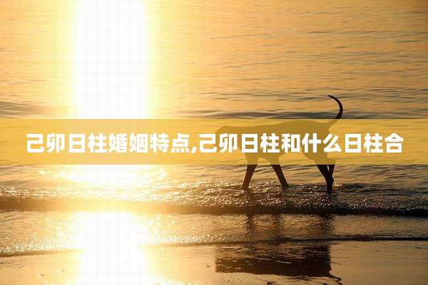 己卯日柱婚姻特点,己卯日柱和什么日柱合