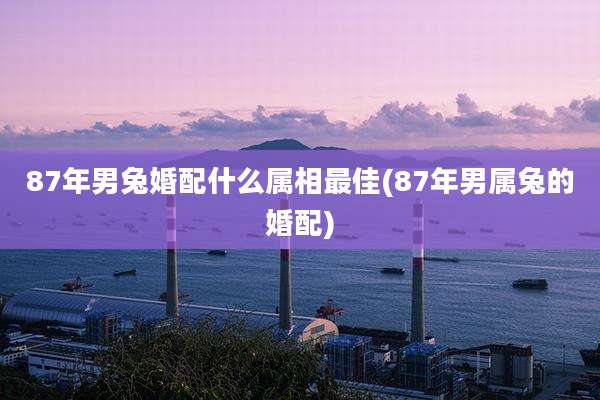 87年男兔婚配什么属相最佳(87年男属兔的婚配)