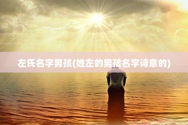 左氏名字男孩(姓左的男孩名字诗意的)