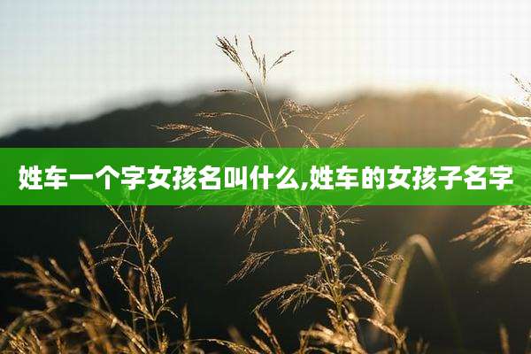 姓车一个字女孩名叫什么,姓车的女孩子名字