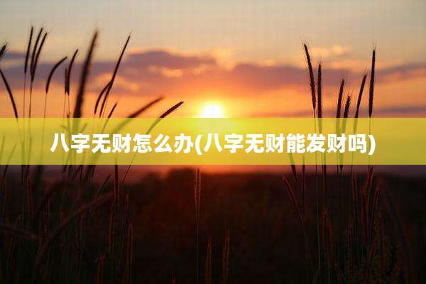 八字无财怎么办(八字无财能发财吗)