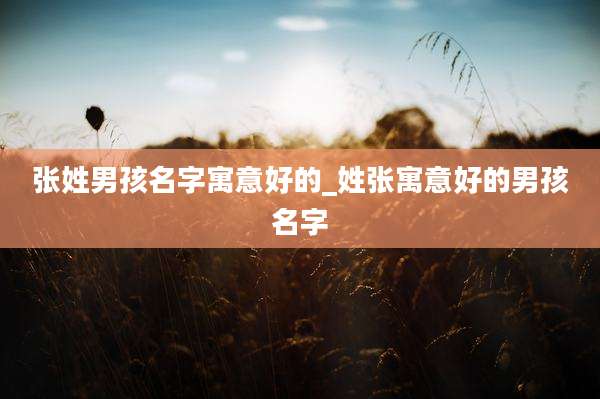 张姓男孩名字寓意好的_姓张寓意好的男孩名字