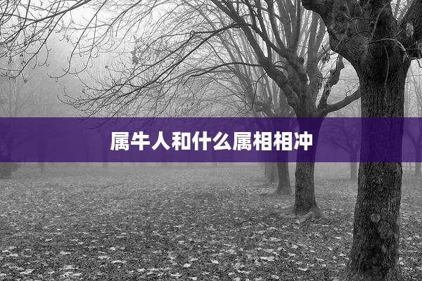 属牛人和什么属相相冲