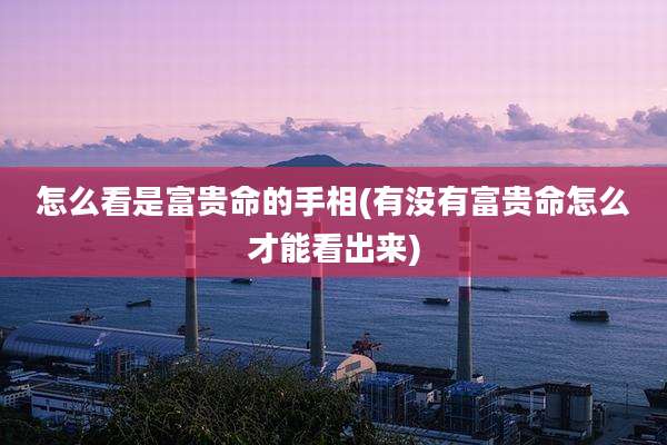怎么看是富贵命的手相(有没有富贵命怎么才能看出来)