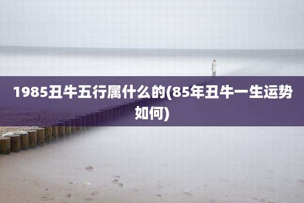 1985丑牛五行属什么的(85年丑牛一生运势如何)