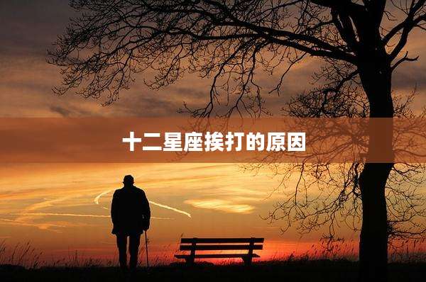 十二星座挨打的原因