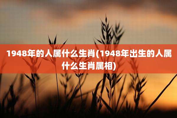 1948年的人属什么生肖(1948年出生的人属什么生肖属相)