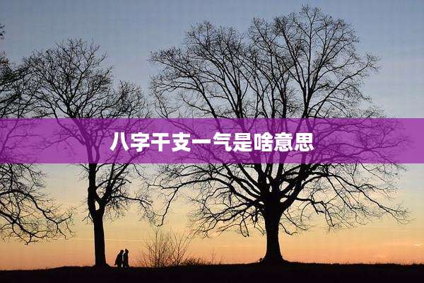 八字干支一气是啥意思