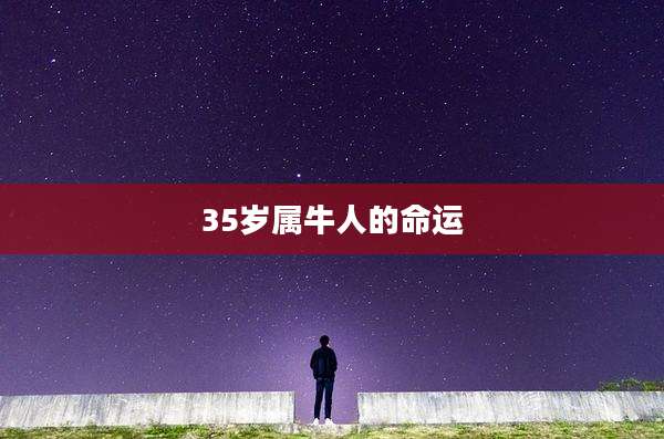 35岁属牛人的命运