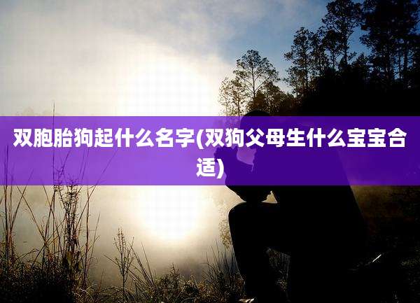 双胞胎狗起什么名字(双狗父母生什么宝宝合适)