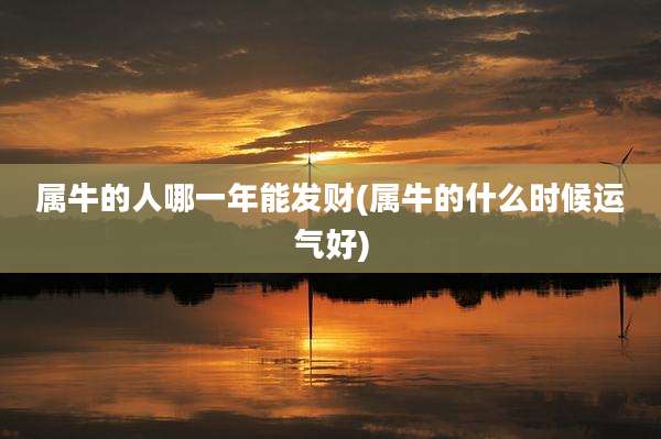 属牛的人哪一年能发财(属牛的什么时候运气好)