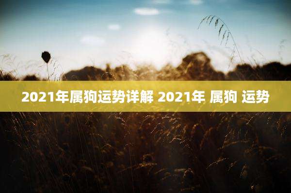 2021年属狗运势详解 2021年 属狗 运势